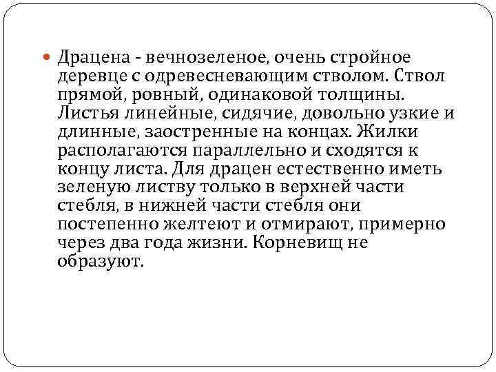  Драцена - вечнозеленое, очень стройное деревце с одревесневающим стволом. Ствол прямой, ровный, одинаковой