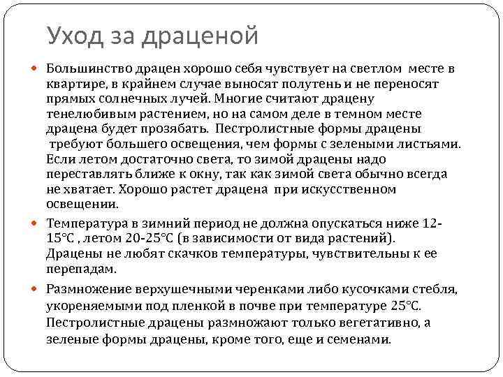 Уход за драценой Большинство драцен хорошо себя чувствует на светлом месте в квартире, в