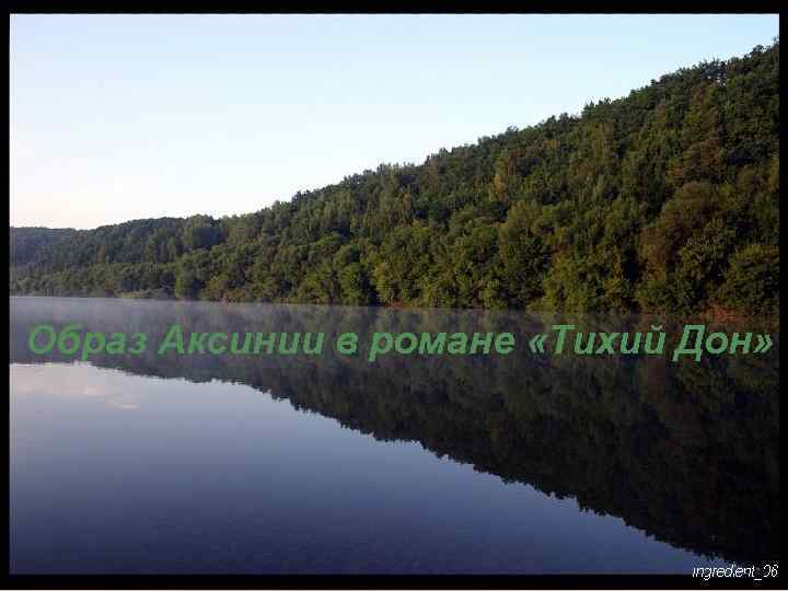 Образ Аксинии в романе «Тихий Дон» 