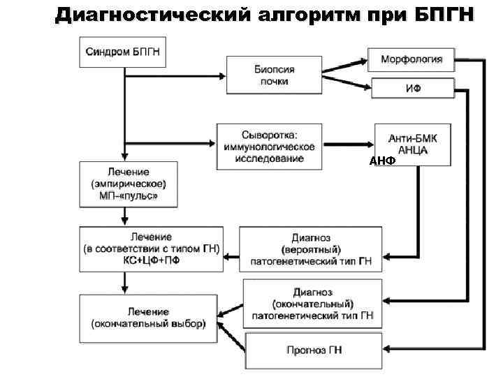 Диагностический алгоритм при БПГН АНФ 