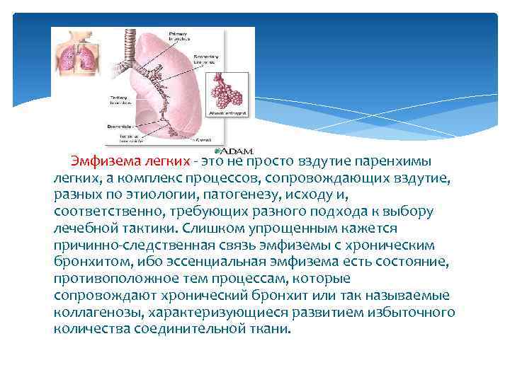  Эмфизема легких - это не просто вздутие паренхимы легких, а комплекс процессов, сопровождающих