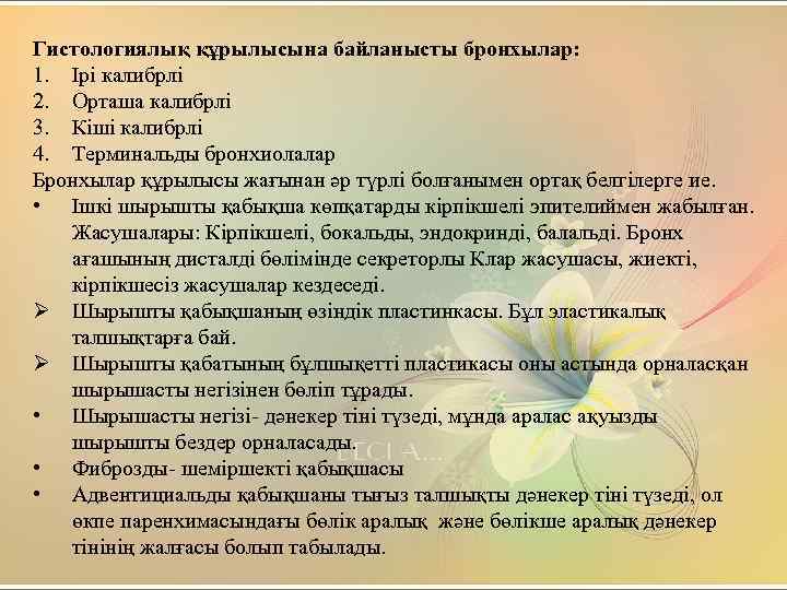 Гистологиялық құрылысына байланысты бронхылар: 1. Ірі калибрлі 2. Орташа калибрлі 3. Кіші калибрлі 4.