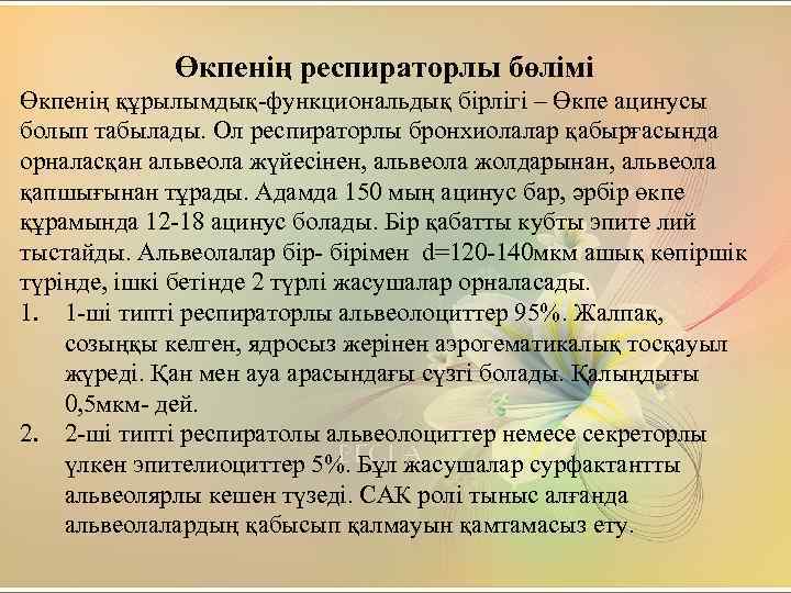 Өкпенің респираторлы бөлімі Өкпенің құрылымдық-функциональдық бірлігі – Өкпе ацинусы болып табылады. Ол респираторлы бронхиолалар