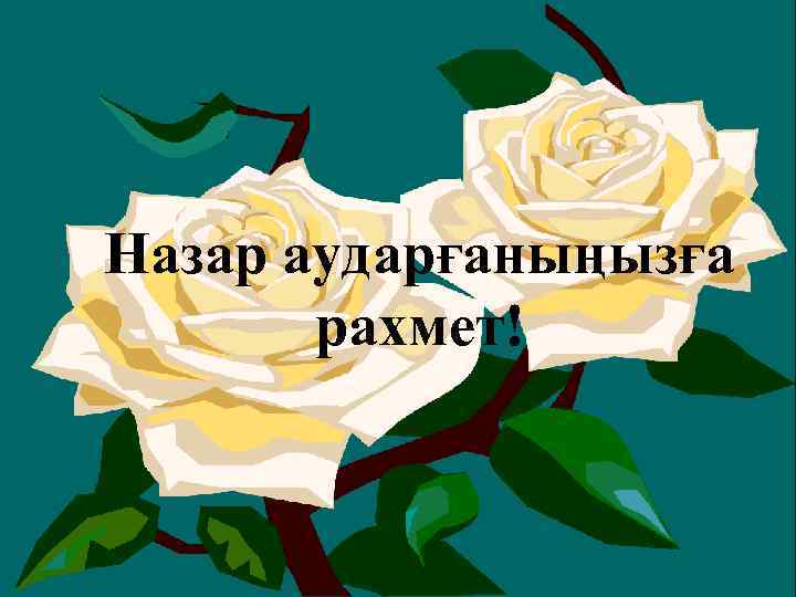 Назар аударғаныңызға рахмет! 