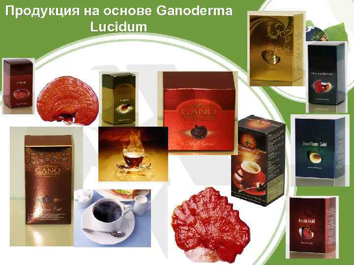 Продукция на основе Ganoderma Lucidum 