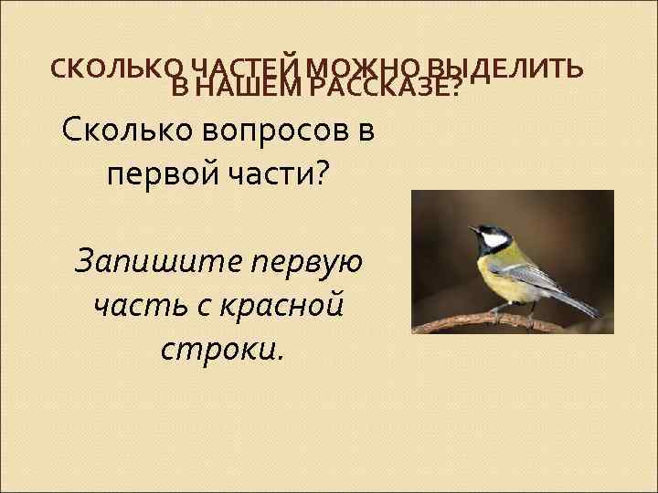 СКОЛЬКО ЧАСТЕЙ МОЖНО ВЫДЕЛИТЬ В НАШЕМ РАССКАЗЕ? Сколько вопросов в первой части? Запишите первую