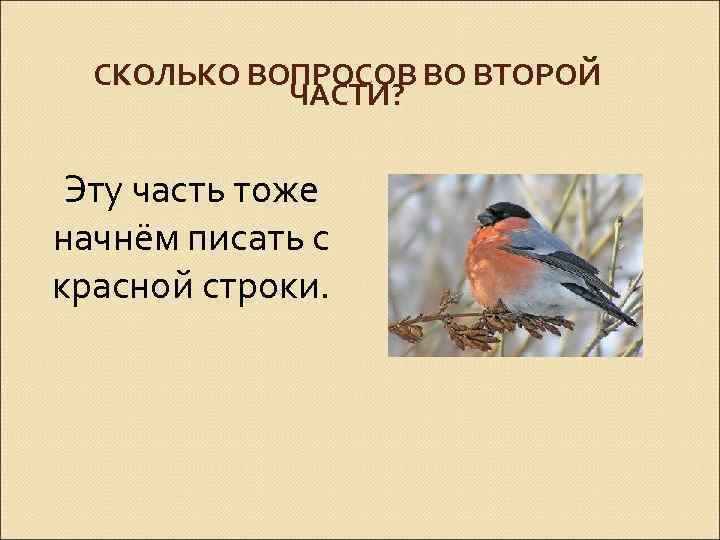 СКОЛЬКО ВОПРОСОВ ВО ВТОРОЙ ЧАСТИ? Эту часть тоже начнём писать с красной строки. 