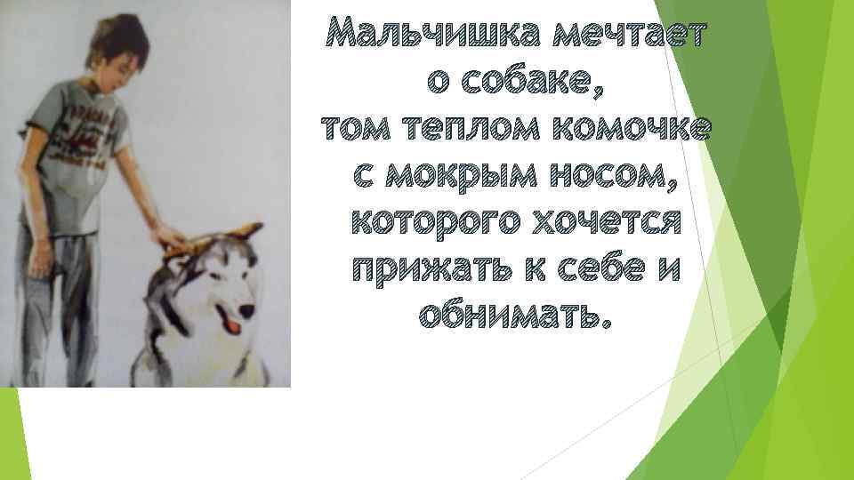 Мальчишка мечтает о собаке, том теплом комочке с мокрым носом, которого хочется прижать к
