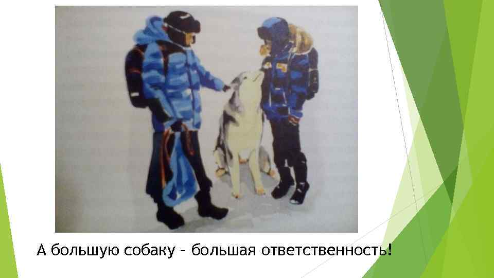 А большую собаку – большая ответственность! 
