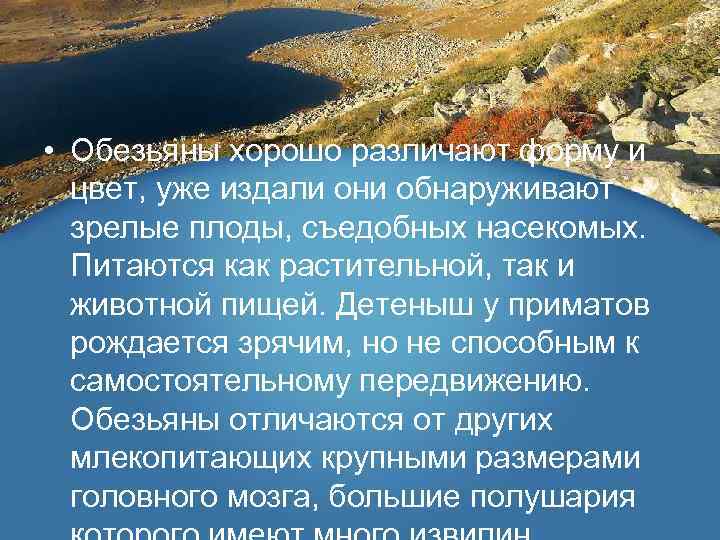  • Обезьяны хорошо различают форму и цвет, уже издали они обнаруживают зрелые плоды,