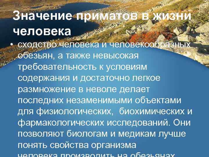 Значение приматов в жизни человека • сходство человека и человекообразных обезьян, а также невысокая