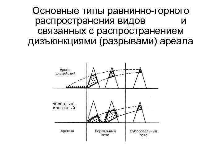 Основные типы равнинно-горного распространения видов и связанных с распространением дизъюнкциями (разрывами) ареала Бореальномонтанный 