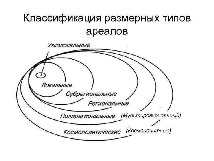 Классификация размерных типов ареалов (Мультирегиональный) (Космополитные) 