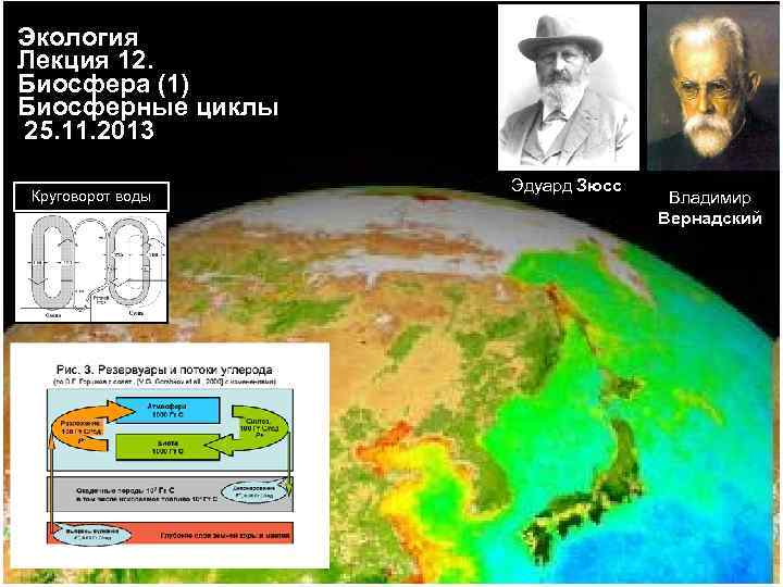 Экология Лекция 12. Биосфера (1) Биосферные циклы 25. 11. 2013 Круговорот воды Эдуард Зюсс