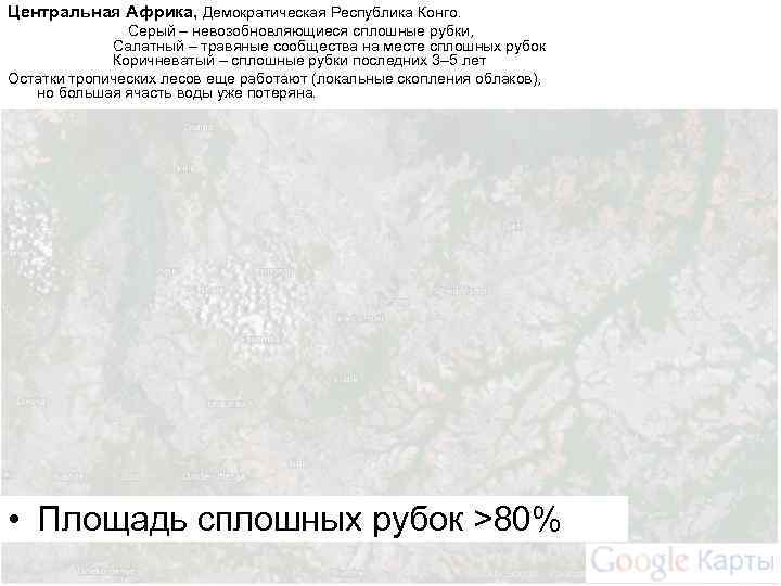 Центральная Африка, Демократическая Республика Конго. Серый – невозобновляющиеся сплошные рубки, Салатный – травяные сообщества