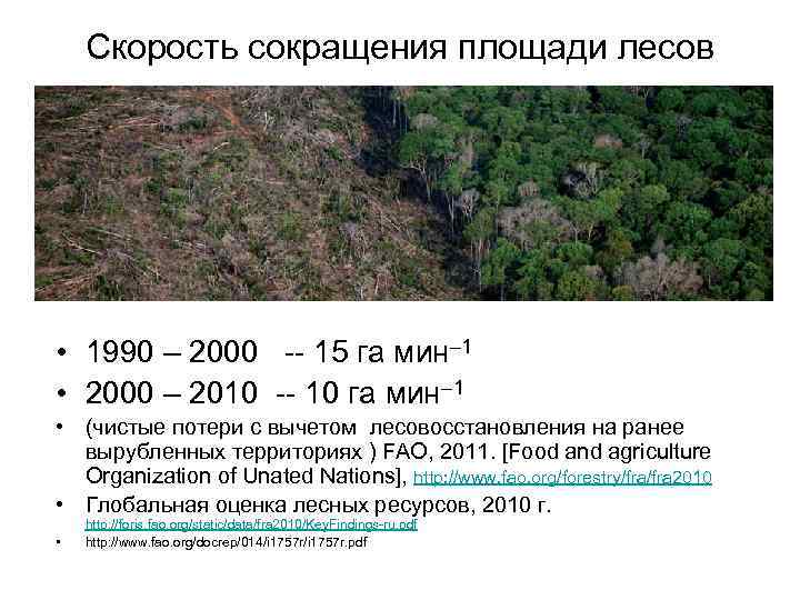 Скорость сокращения площади лесов • 1990 – 2000 -- 15 га мин– 1 •