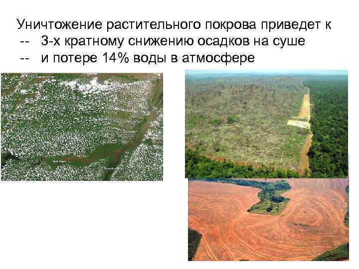 Уничтожение растительного покрова приведет к -- 3 -х кратному снижению осадков на суше --
