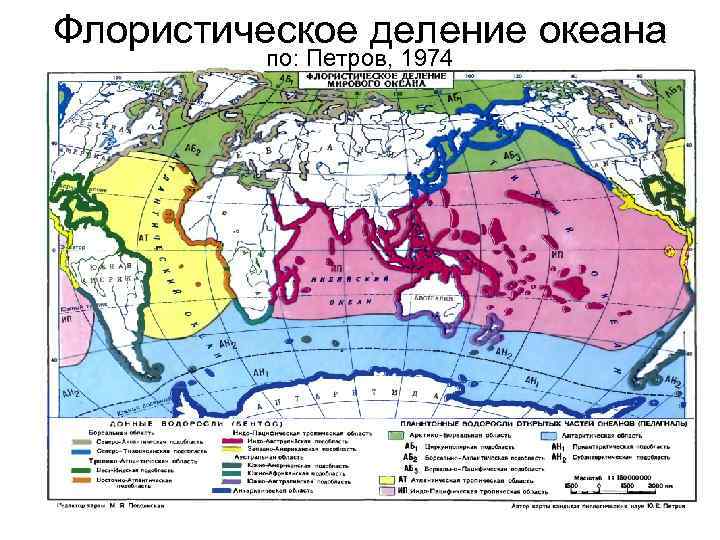 Флористическое деление океана по: Петров, 1974 