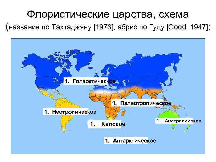 Флористические царства, схема (названия по Тахтаджяну [1978], абрис по Гуду [Good , 1947]) 1.