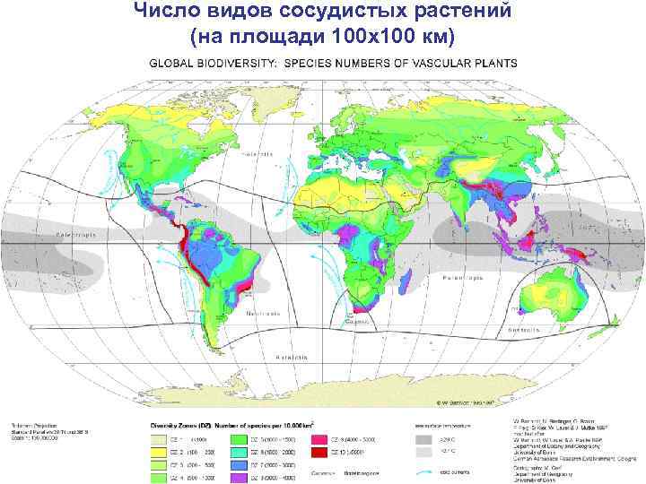 Число видов сосудистых растений (на площади 100 х100 км) 