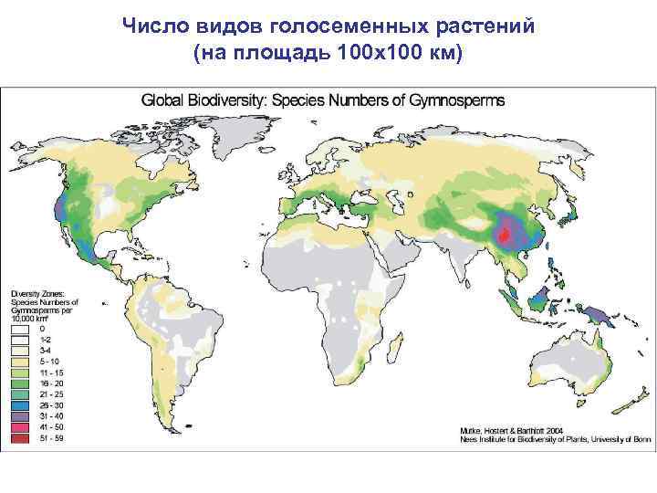 Число видов голосеменных растений (на площадь 100 х100 км) 