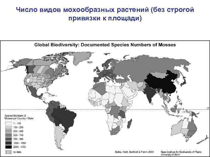 Число видов мохообразных растений (без строгой привязки к площади) 