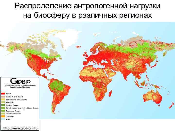 Распределение антропогенной нагрузки на биосферу в различных регионах 