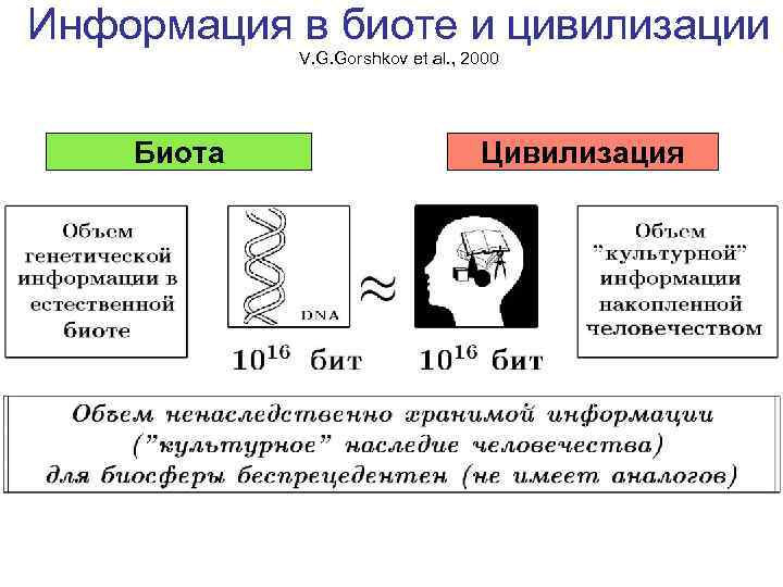 Информация в биоте и цивилизации V. G. Gorshkov et al. , 2000 Биота Цивилизация