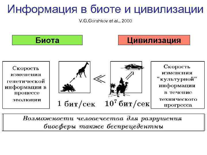 Информация в биоте и цивилизации V. G. Gorshkov et al. , 2000 Биота Цивилизация