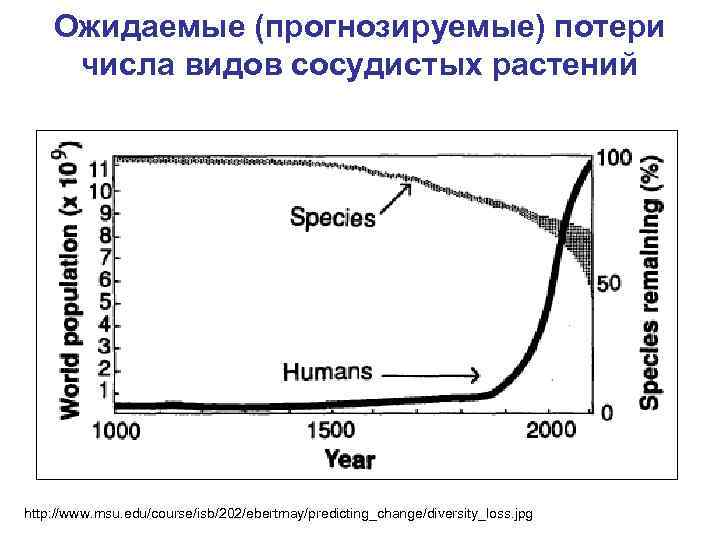 Ожидаемые (прогнозируемые) потери числа видов сосудистых растений http: //www. msu. edu/course/isb/202/ebertmay/predicting_change/diversity_loss. jpg 