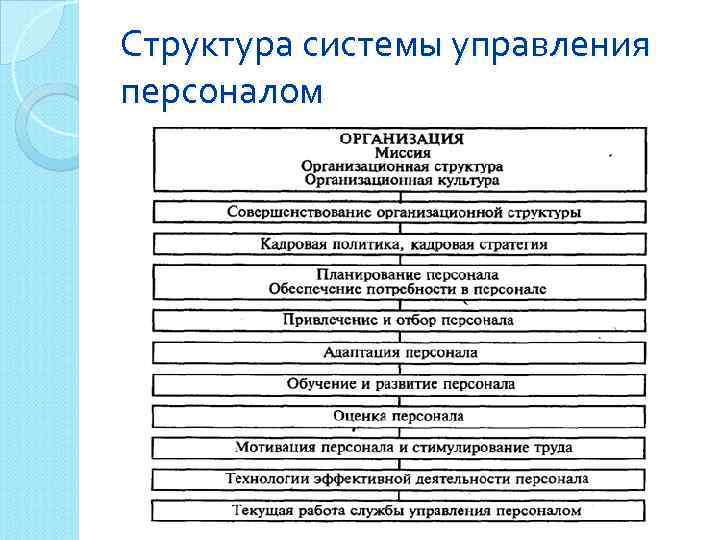 Какими структурами представлен. Структура системы управления персоналом. Виды структур управления персоналом. Виды структуры системы управления персоналом. 3. Структуры системы управления персоналом.