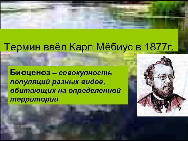 Термин ввёл Карл Мёбиус в 1877 г. Биоценоз – совокупность популяций разных видов, обитающих