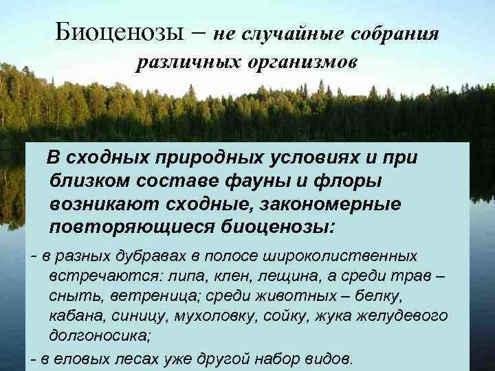 Биоценозы – не случайные собрания различных организмов В сходных природных условиях и при близком