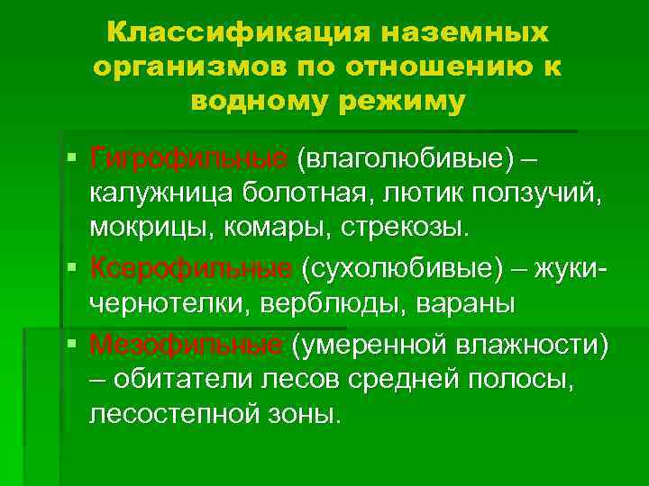 Классификация наземных организмов по отношению к водному режиму § Гигрофильные (влаголюбивые) – калужница болотная,