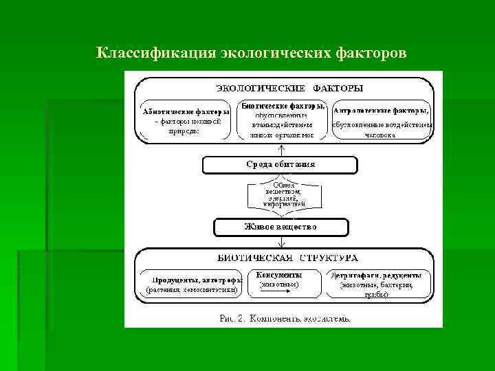 Схема классификации экологических факторов