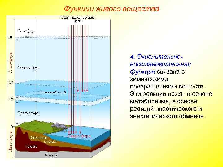 Функции живого вещества 4. Окислительновосстановительная функция связана с химическими превращениями веществ. Эти реакции лежат