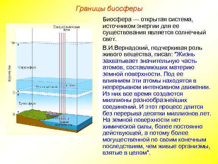 Границы биосферы Биосфера — открытая система, источником энергии для ее существования является солнечный свет.