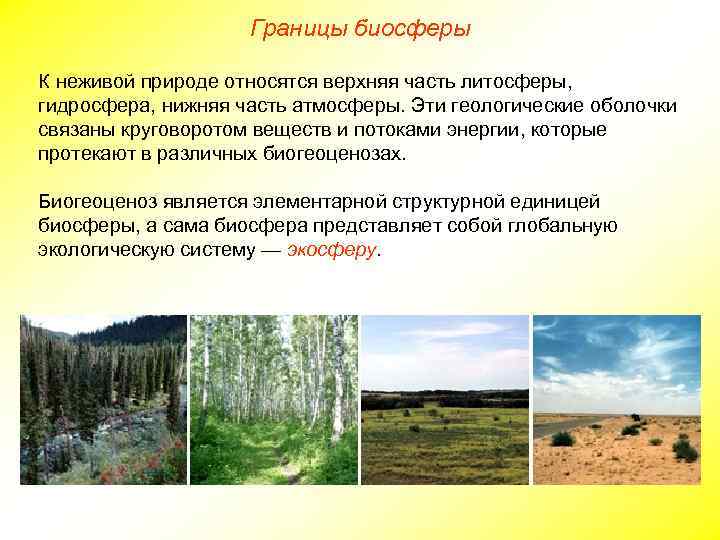 Границы биосферы К неживой природе относятся верхняя часть литосферы, гидросфера, нижняя часть атмосферы. Эти