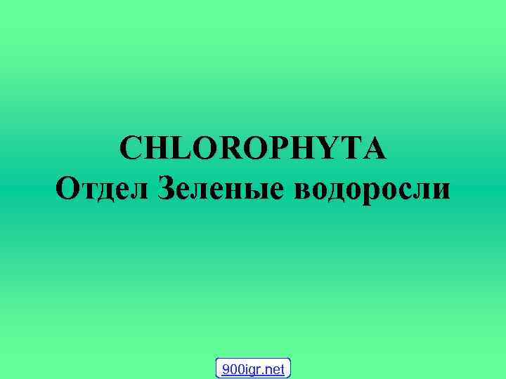 CHLOROPHYTA Отдел Зеленые водоросли 900 igr. net 