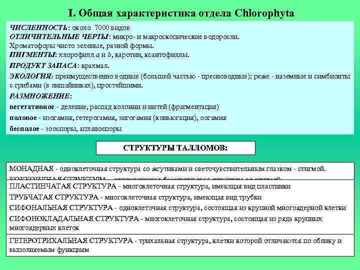 I. Общая характеристика отдела Chlorophyta ЧИСЛЕННОСТЬ: около 7000 видов ОТЛИЧИТЕЛЬНЫЕ ЧЕРТЫ: микро- и макроскопические