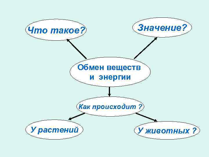 Что такое? Значение? Обмен веществ и энергии Как происходит ? У растений У животных