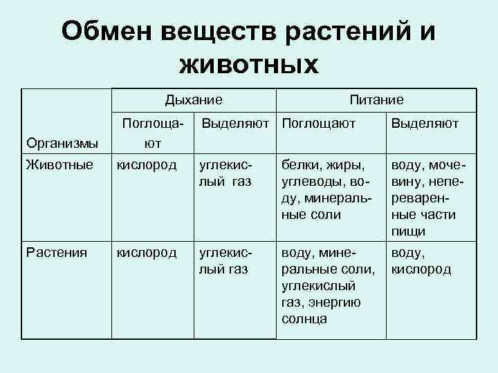 Обмен веществ растений и животных Дыхание Организмы Поглощают Питание Выделяют Поглощают Выделяют Животные кислород
