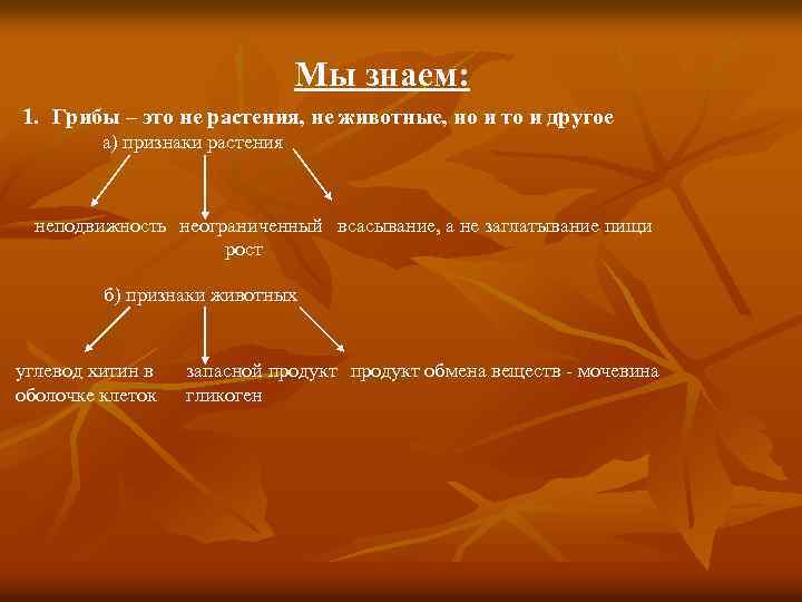 Мы знаем: 1. Грибы – это не растения, не животные, но и то и