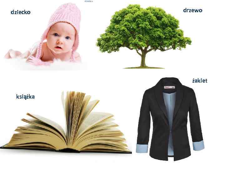 dziecko drzewo żakiet książka 
