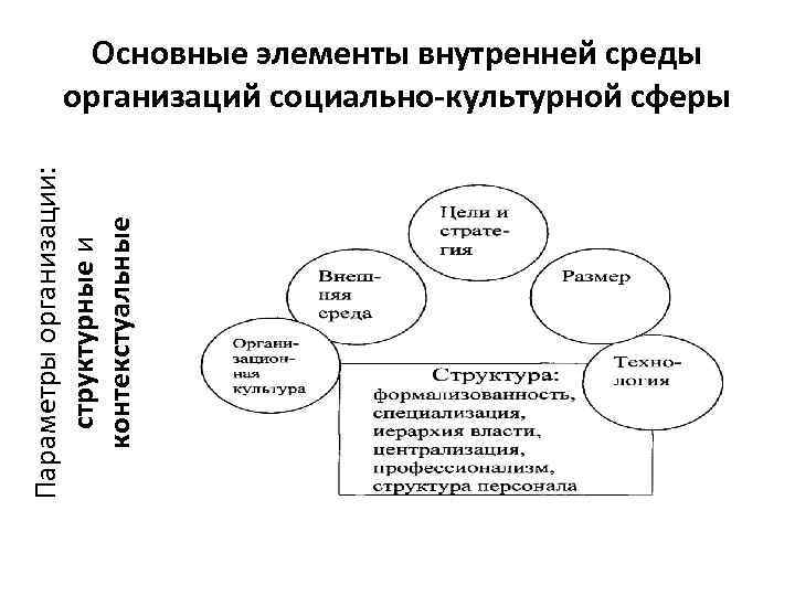 Предприятие социально культурной сферы