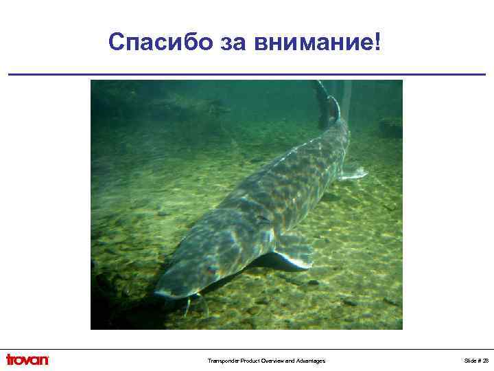 Спасибо за внимание! Transponder Product Overview and Advantages Slide # 28 