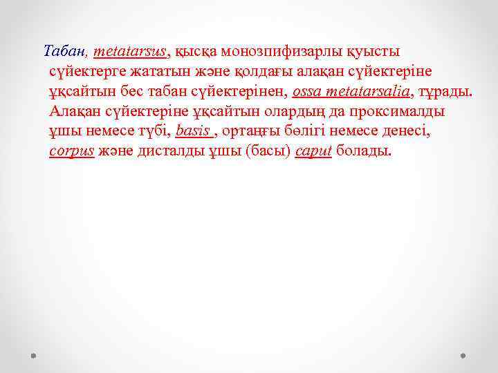 Табан, metatarsus, қысқа монозпифизарлы қуысты сүйектерге жататын және қолдағы алақан сүйектеріне ұқсайтын бес табан