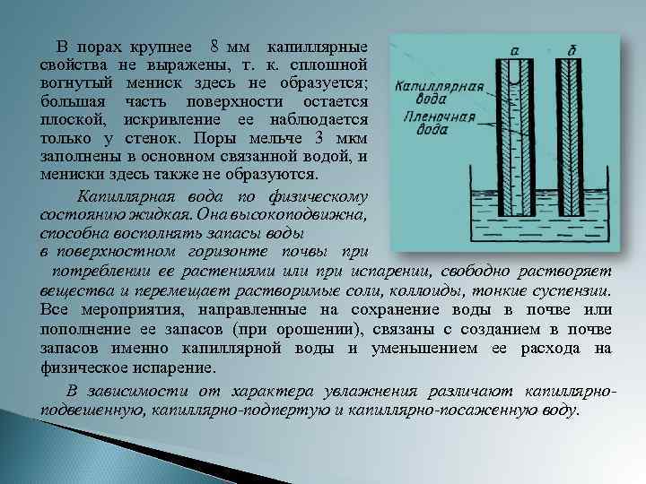 Испарение почв. Капиллярная вода в почве. Капиллярные явления в почве. Капиллярные свойства. Свойства воды капиллярность.