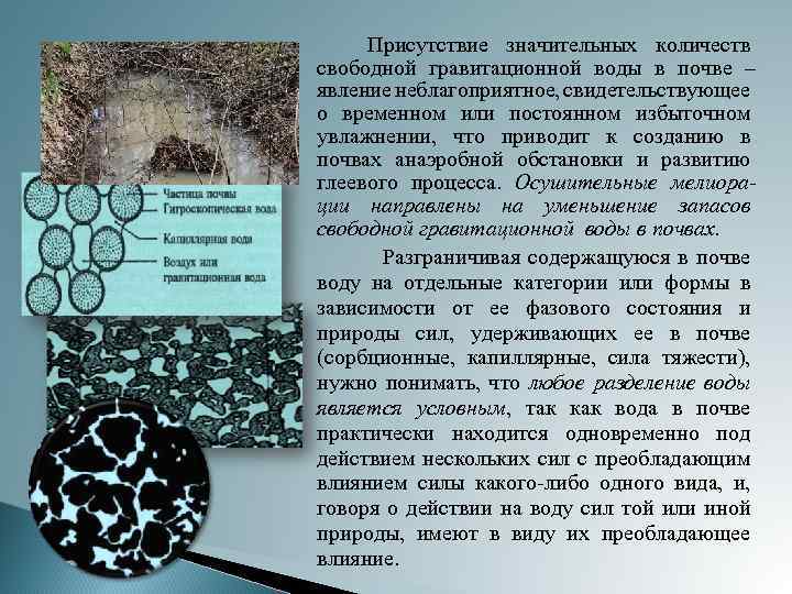 Вода в почве. Состояние воды в почве. Категории и состояния воды в почве. Гравитационная вода в почве. Гравитацион вода в почве.