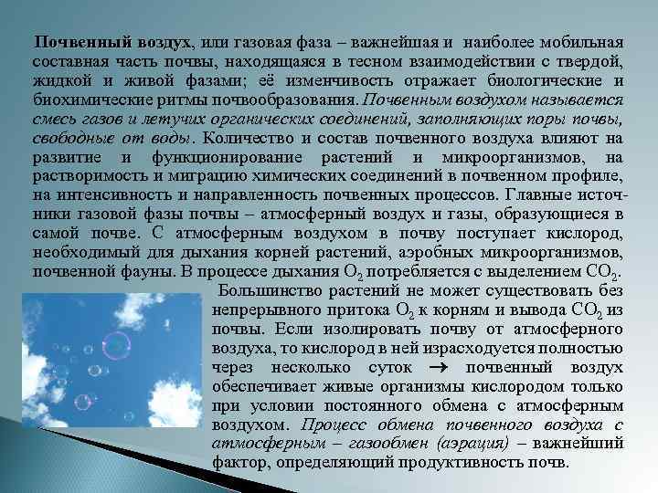 Воздушная почва. Почвенный воздух. Газовая фаза почвы. Почвенный и атмосферный воздух. Причина различия атмосферного и почвенного воздуха.